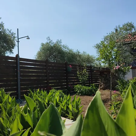 Iatrou Apartmanhotel 3*