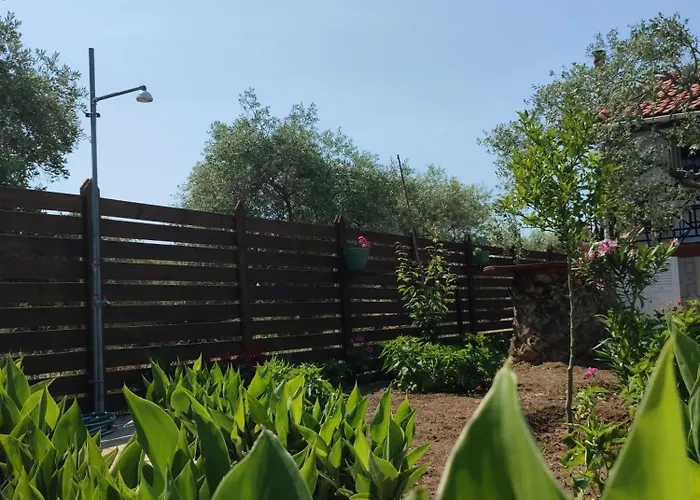 Iatrou Ξενοδοχείο με διαμερίσματα 3*